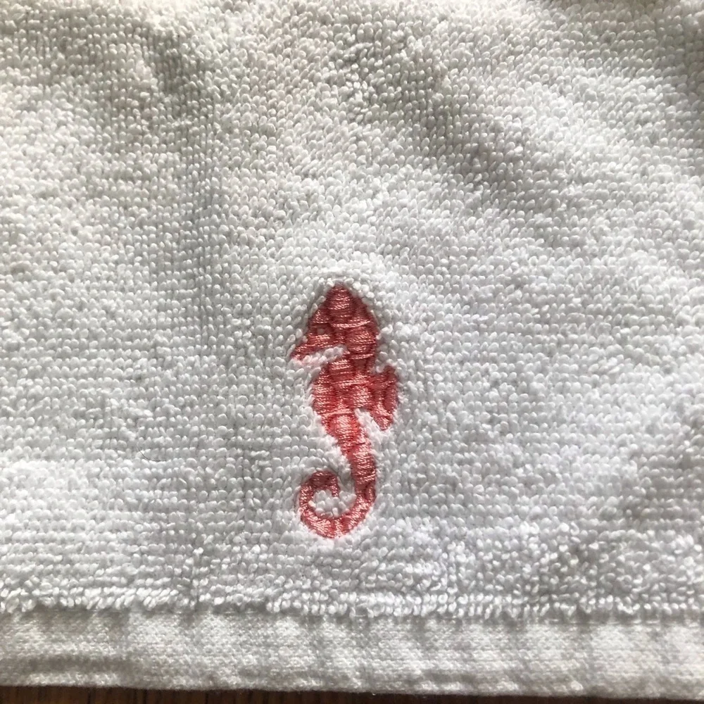 embroidered seahorse wash cloth